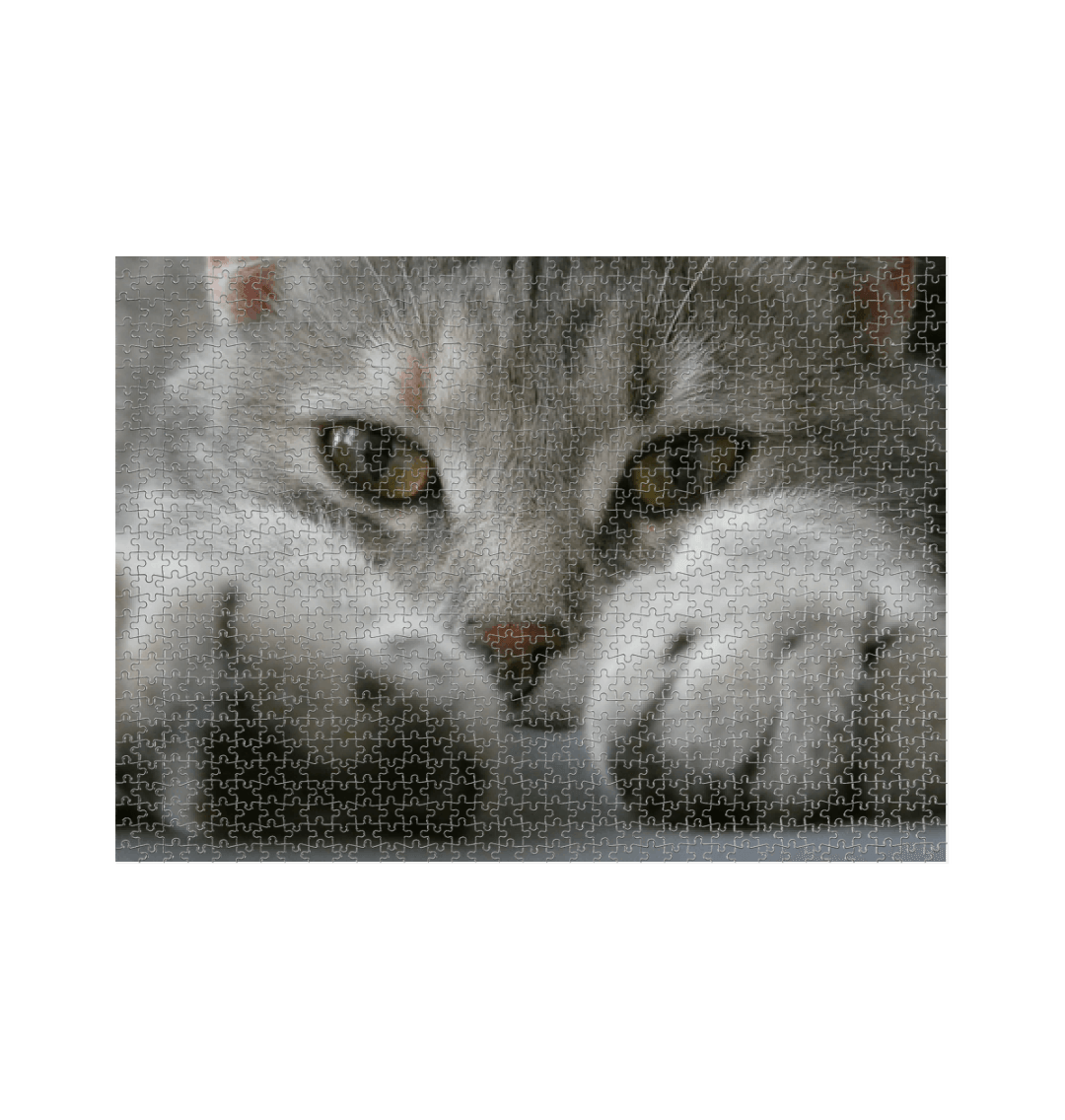 White Kitten Eyes Jigsaw Puzzle (1000 Piece)