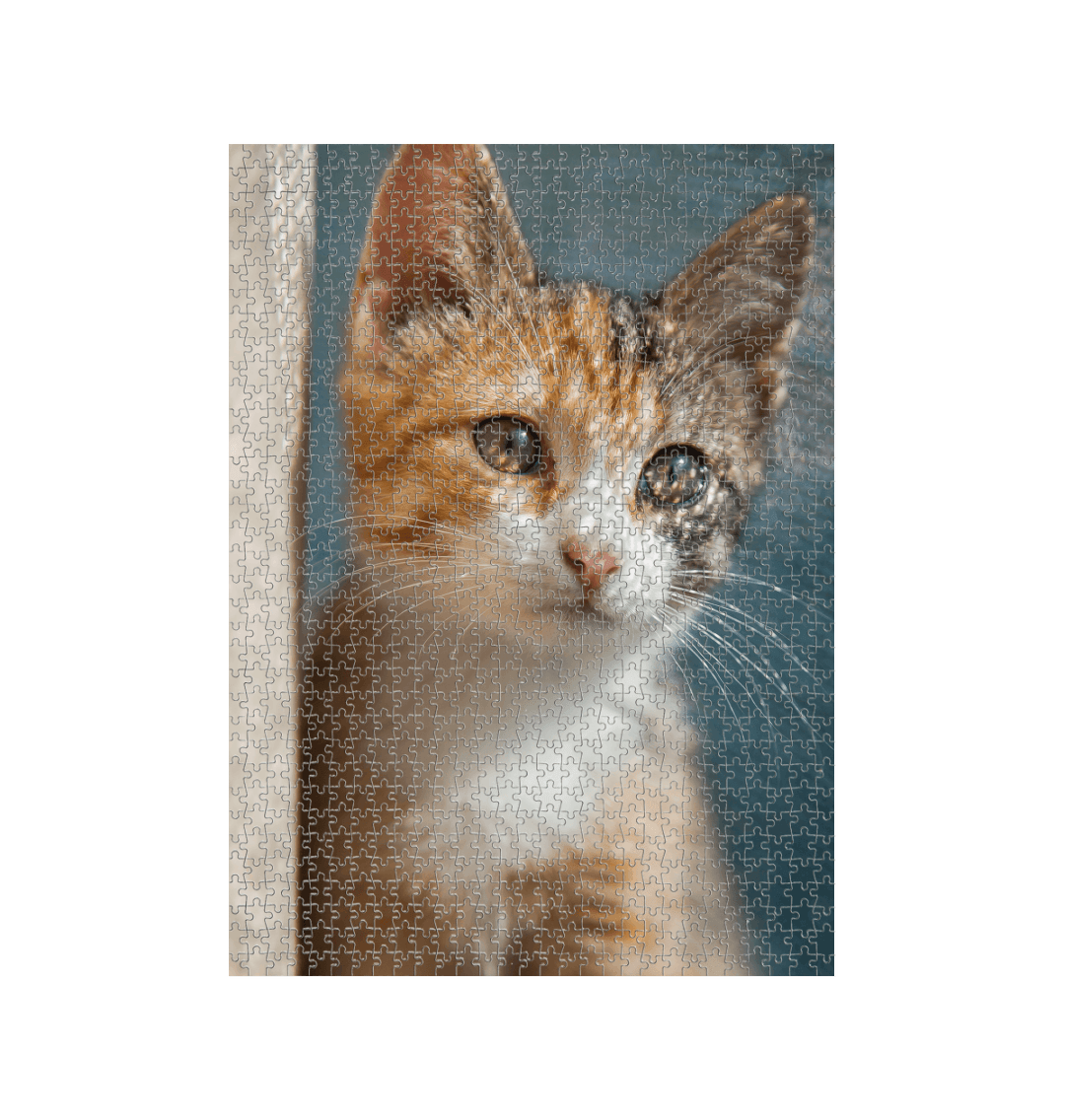 White Kitten Jigsaw Puzzle (1000 Piece)