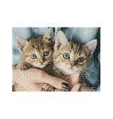 White A Handful of Kittens Premium Jigsaw Puzzle (1000 Piece)