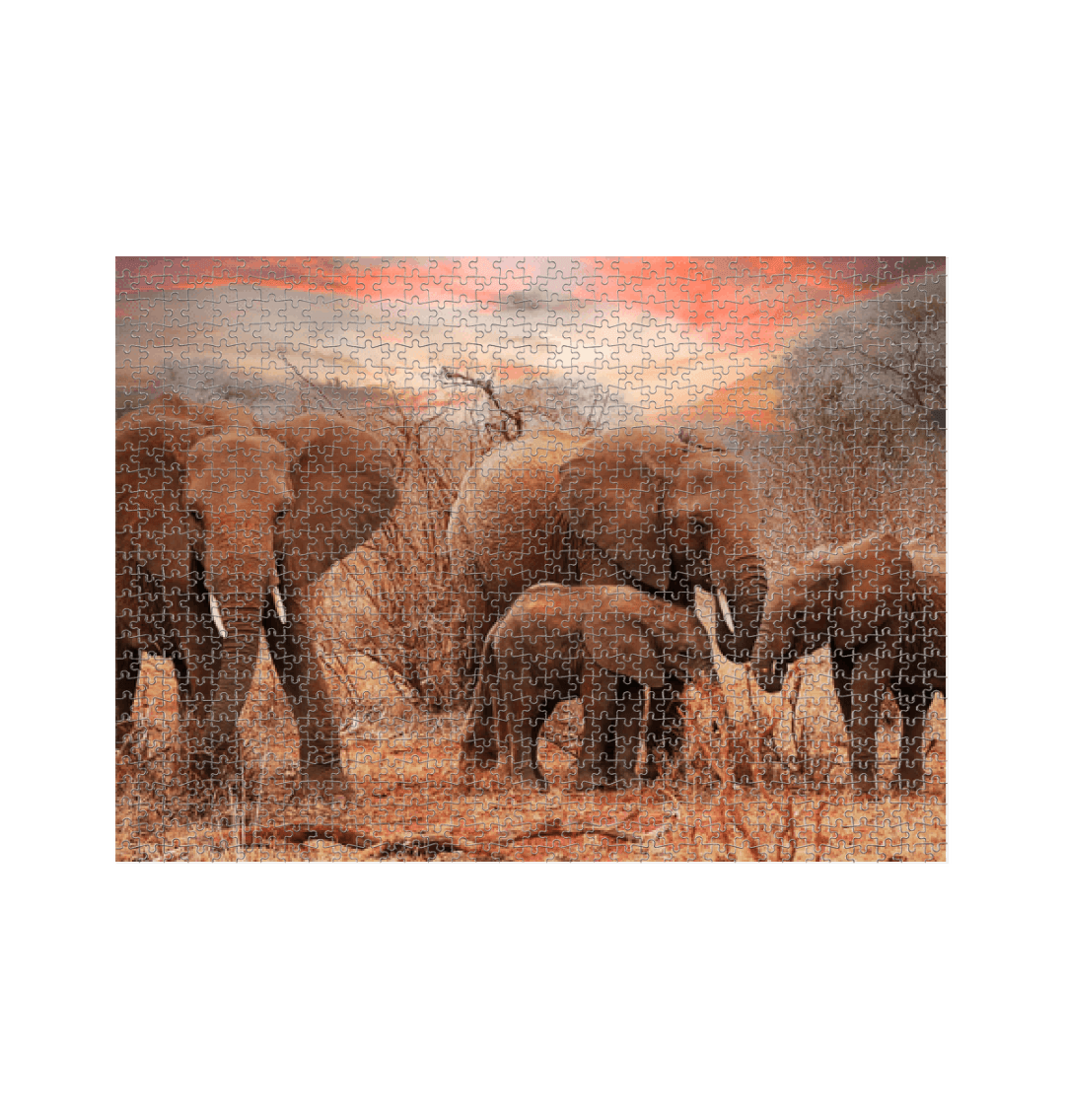 White Elephant Family Jigsaw Puzzle (1000 Piece)