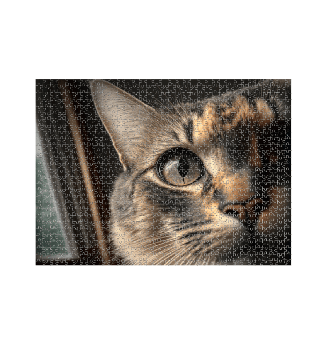 White Cat Closeup Jigsaw Puzzle (1000 Piece)
