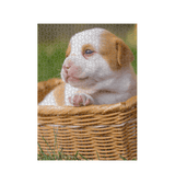 White Puppy in a Basket Jigsaw Puzzle (1000 Piece)